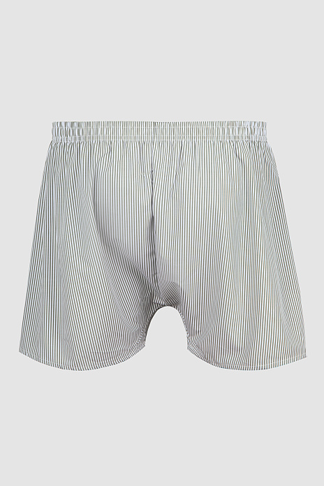 Боксеры, цвет Оливковый